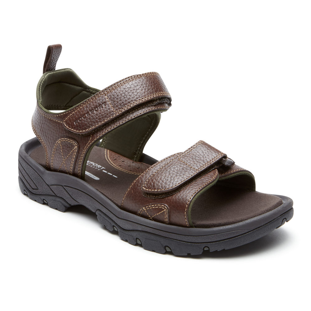 Rockport Sandaler Herre Brune - Springboro Rocklake - VQNY35461